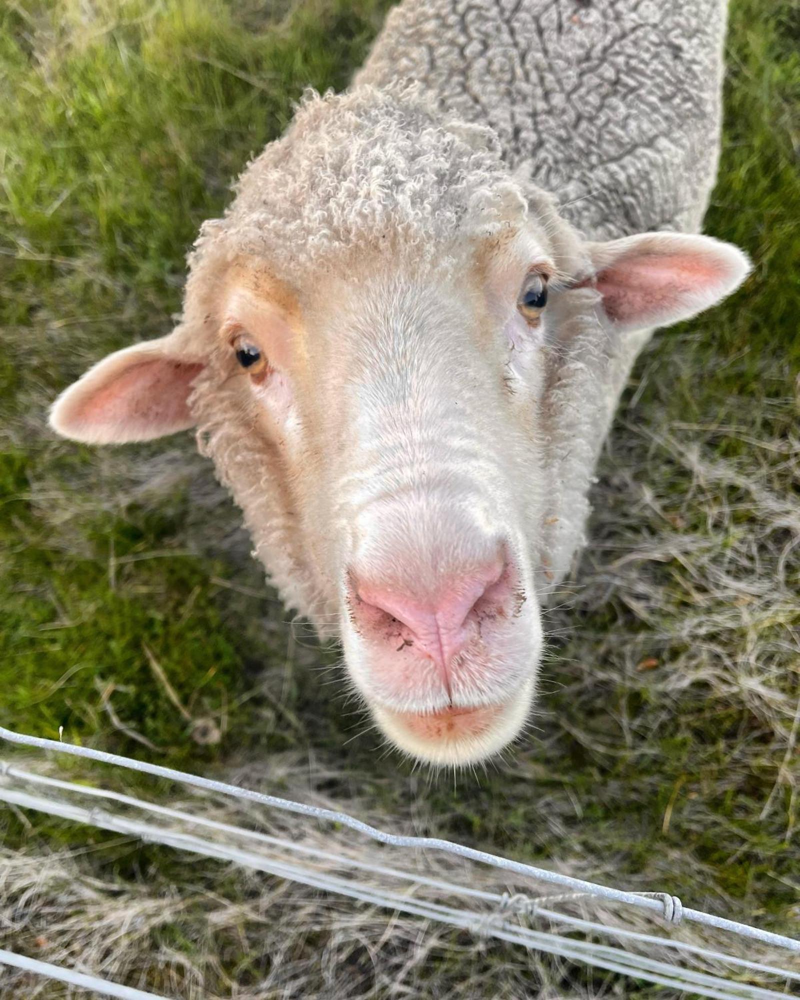 Mondurup Escape - Kendenup Lägenhet Exteriör bild